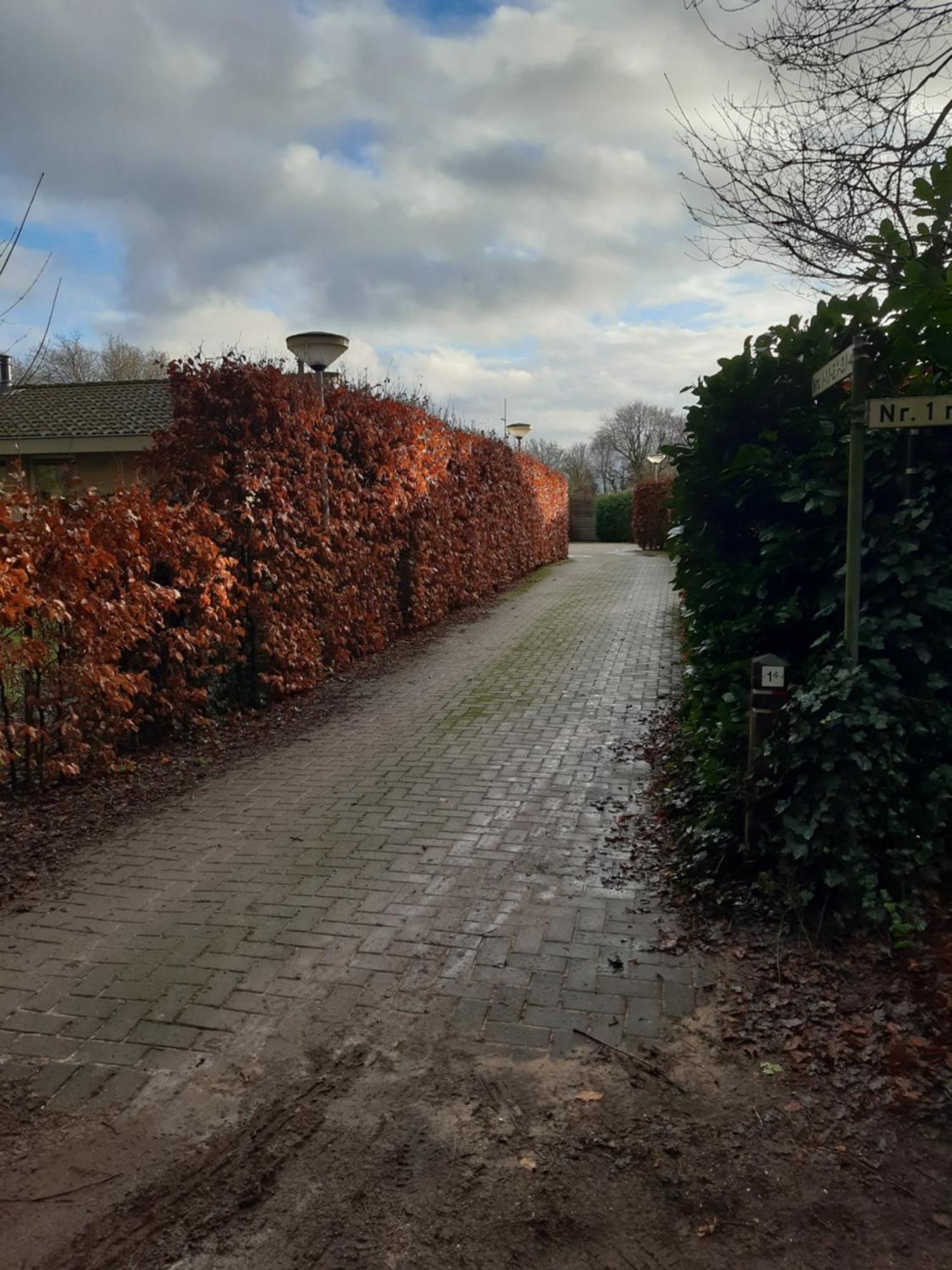 הוילה פוטן Huinerhofje 2 - Vrijstaand Met Grote Omheinde Tuin, Rust, Privacy En Nabij Bossen מראה חיצוני תמונה